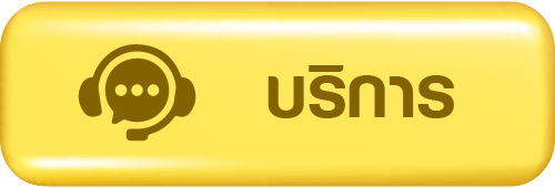บริการ2